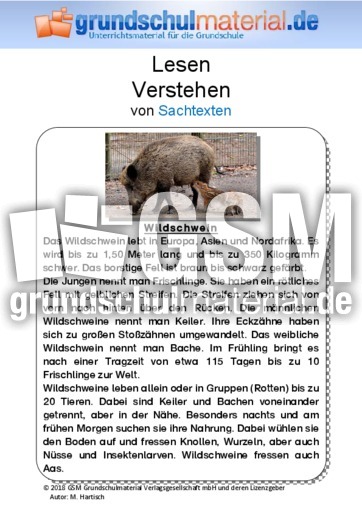 Wildschwein.pdf